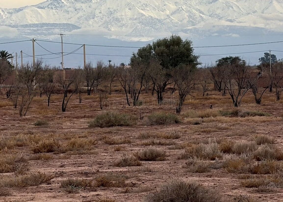 Plot 22000 m² for sale in Marrakech — Photo 20