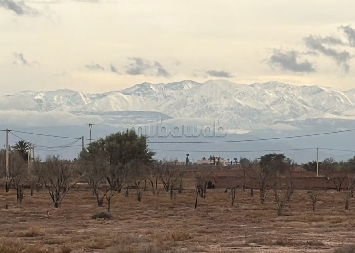 Plot 22000 m² for sale in Marrakech — Photo 4