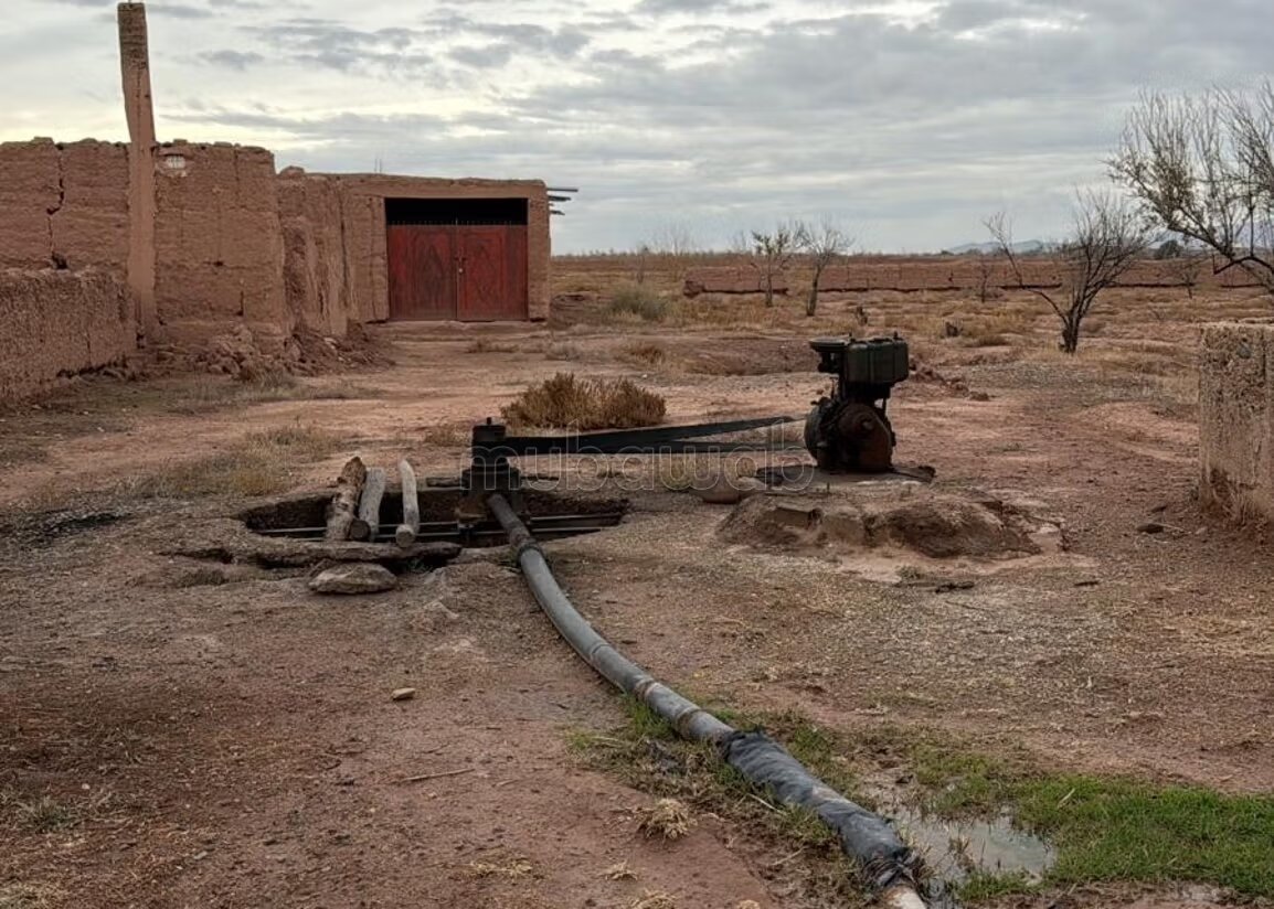 Plot 22000 m² for sale in Marrakech — Photo 22