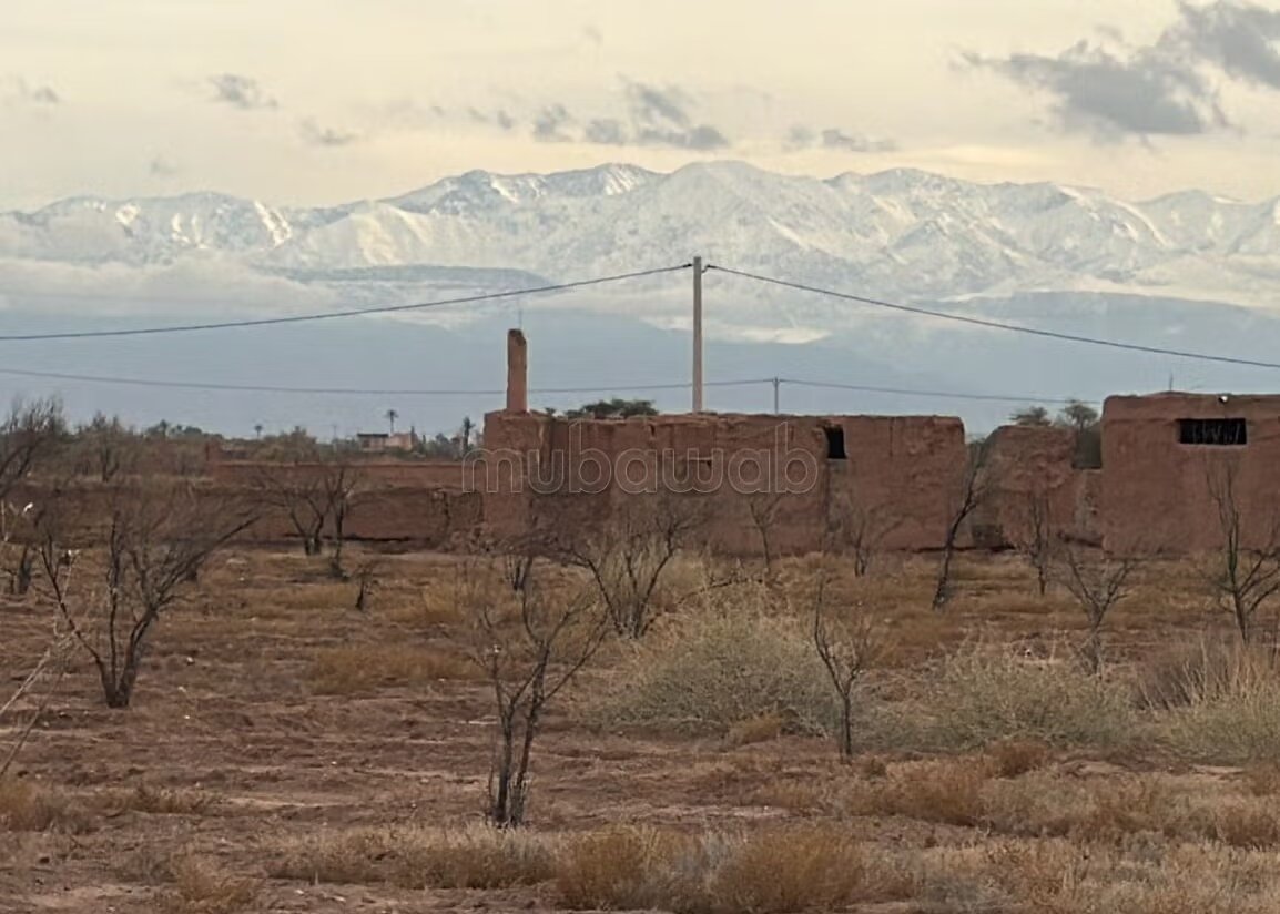 Plot 22000 m² for sale in Marrakech — Photo 12