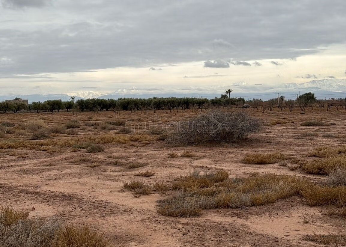 Plot 22000 m² for sale in Marrakech — Photo 13