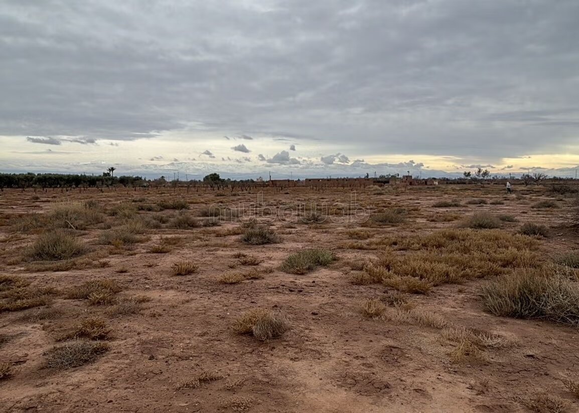 Plot 22000 m² for sale in Marrakech — Photo 17