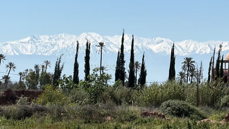 Plot 22000 m² for sale in Marrakech — Photo 32