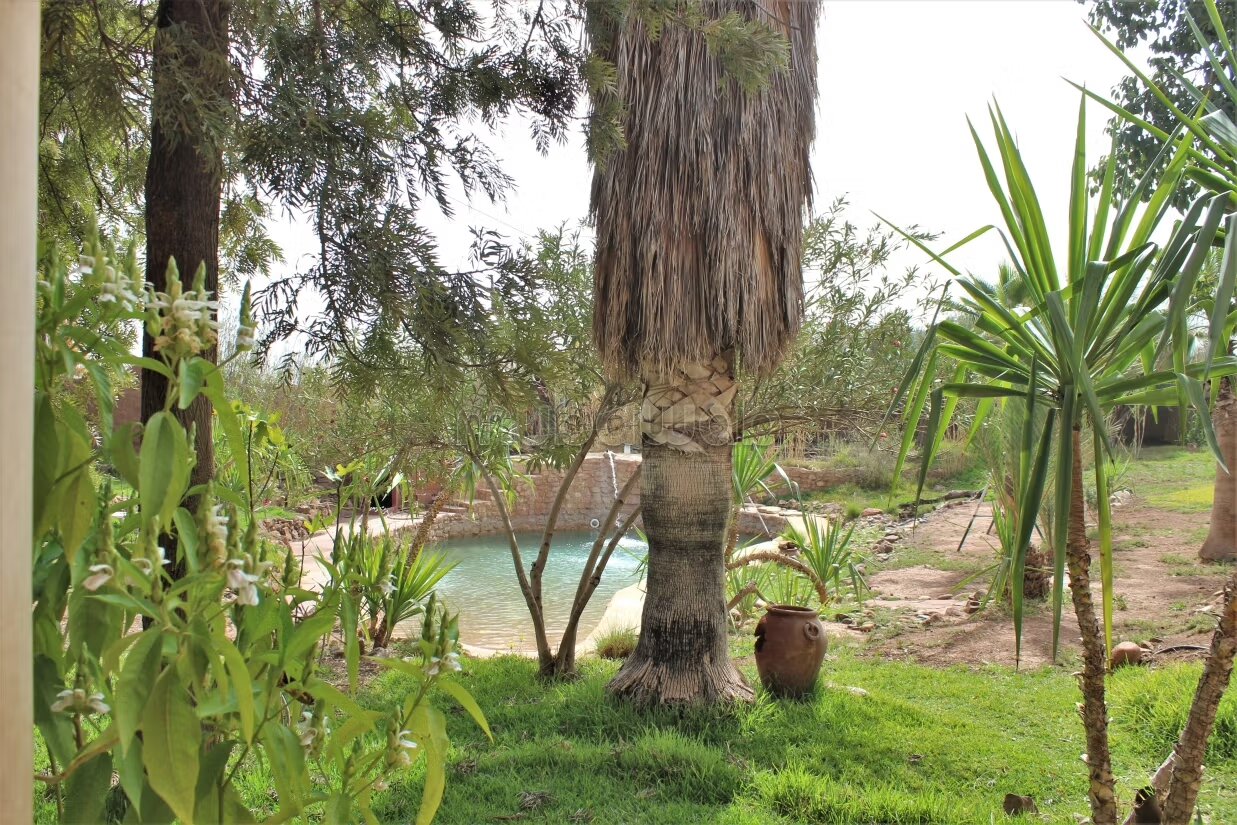 فيلا 280 متر مربع للإيجار في مراكش — Photo 215
