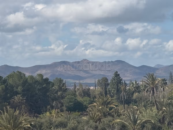أرض 15800 م² للبيع في مراكش — Photo 3