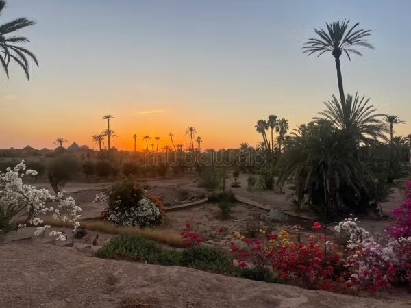 أرض 15800 م² للبيع في مراكش — Photo 5