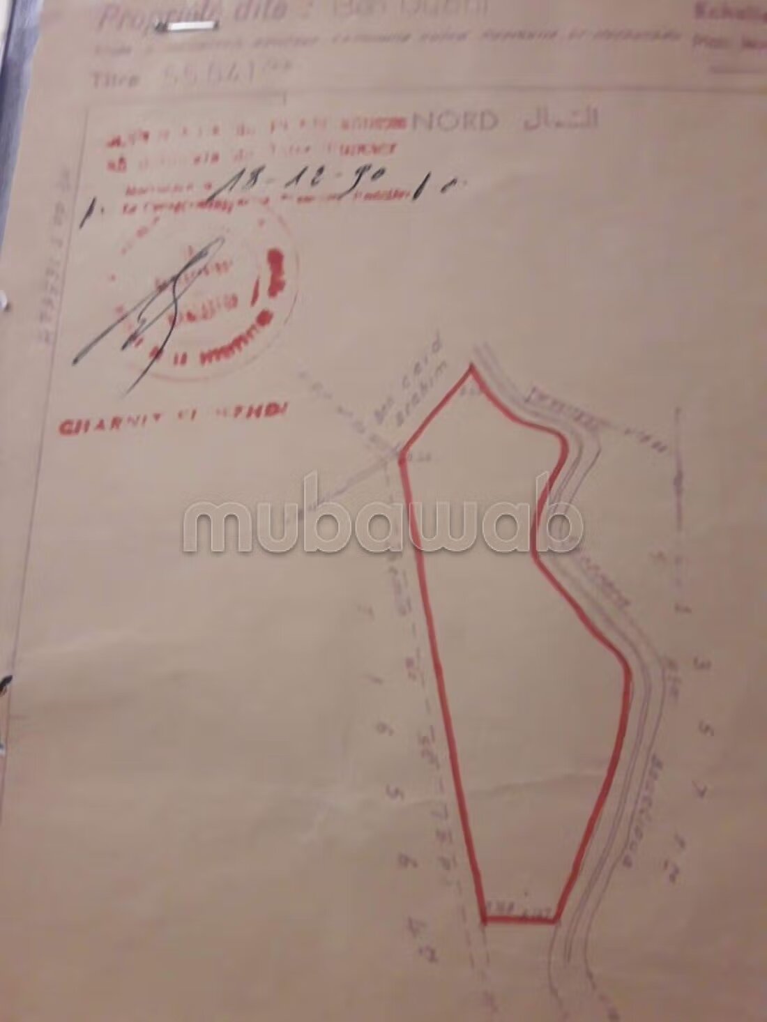Land 10000 m² for sale in Marrakech — Photo 8