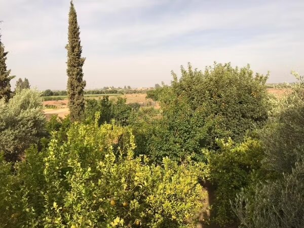 Land 10000 m² for sale in Marrakech — Photo 12