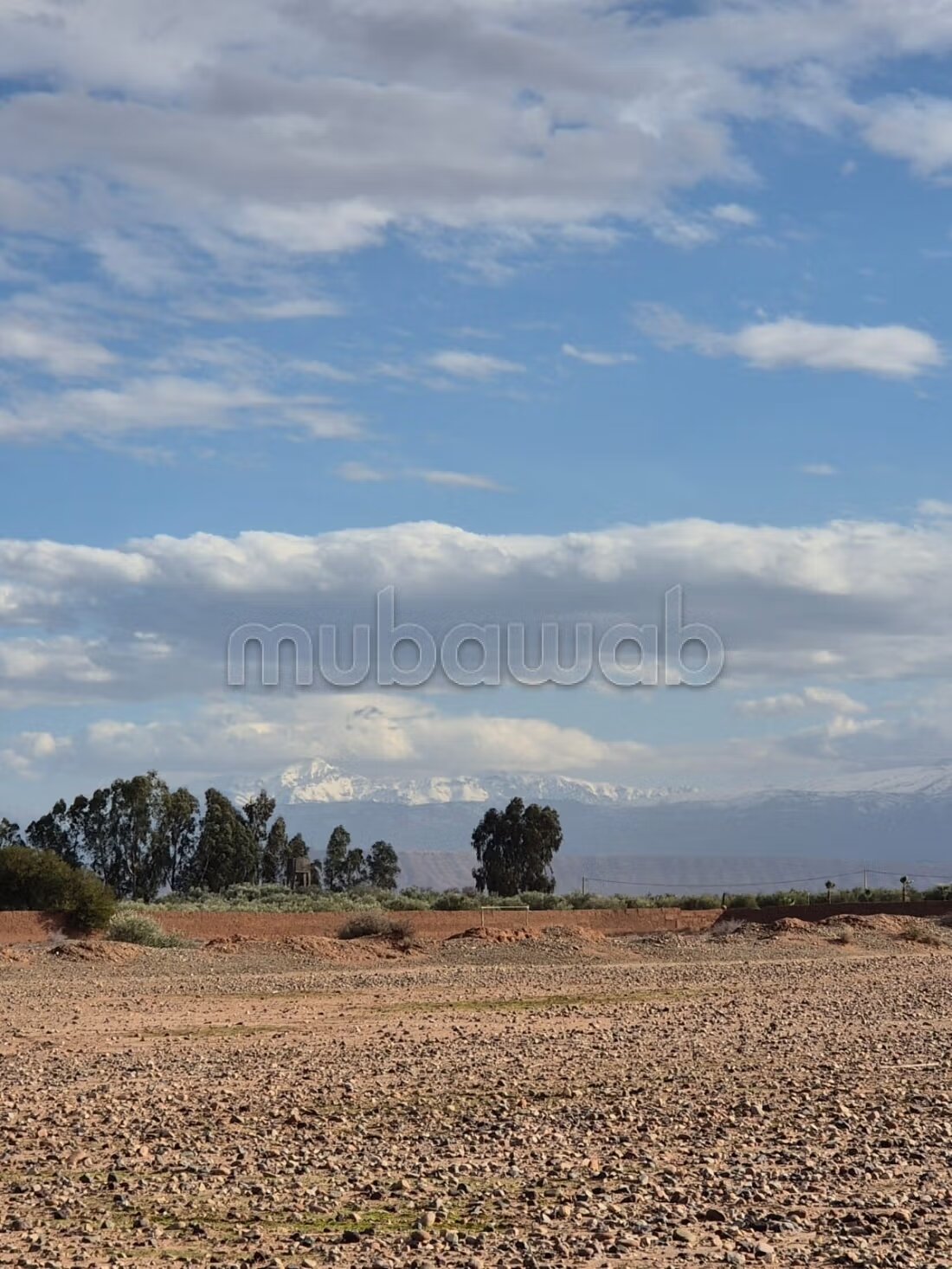 Land 10000 m² for sale in Marrakech — Photo 3
