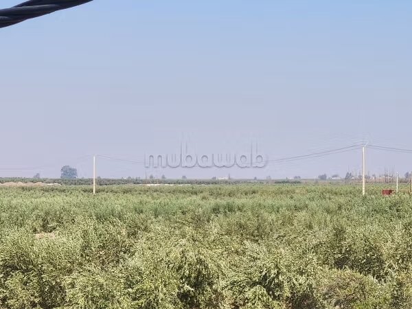 Land 110,000 m² for sale in Marrakech — Photo 4