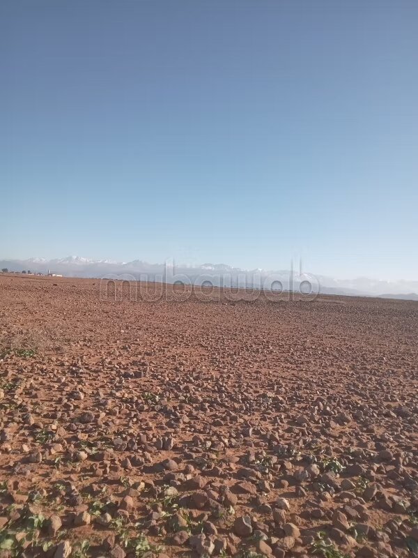 Land 110,000 m² for sale in Marrakech — Photo 6