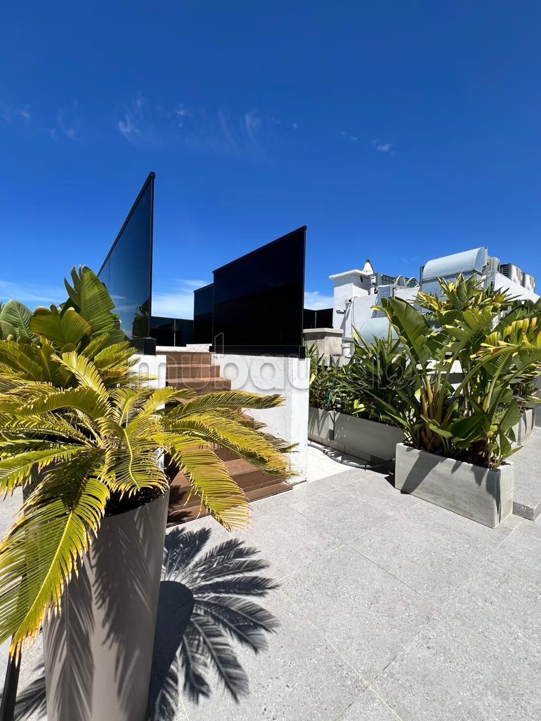 55 m² Apartment for Rent in Casablanca — Photo 4