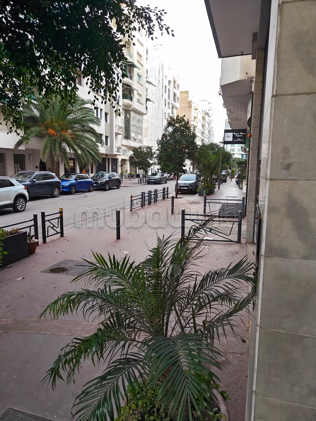 شقة 190 م² للبيع في الدار البيضاء (racine) — Photo 54