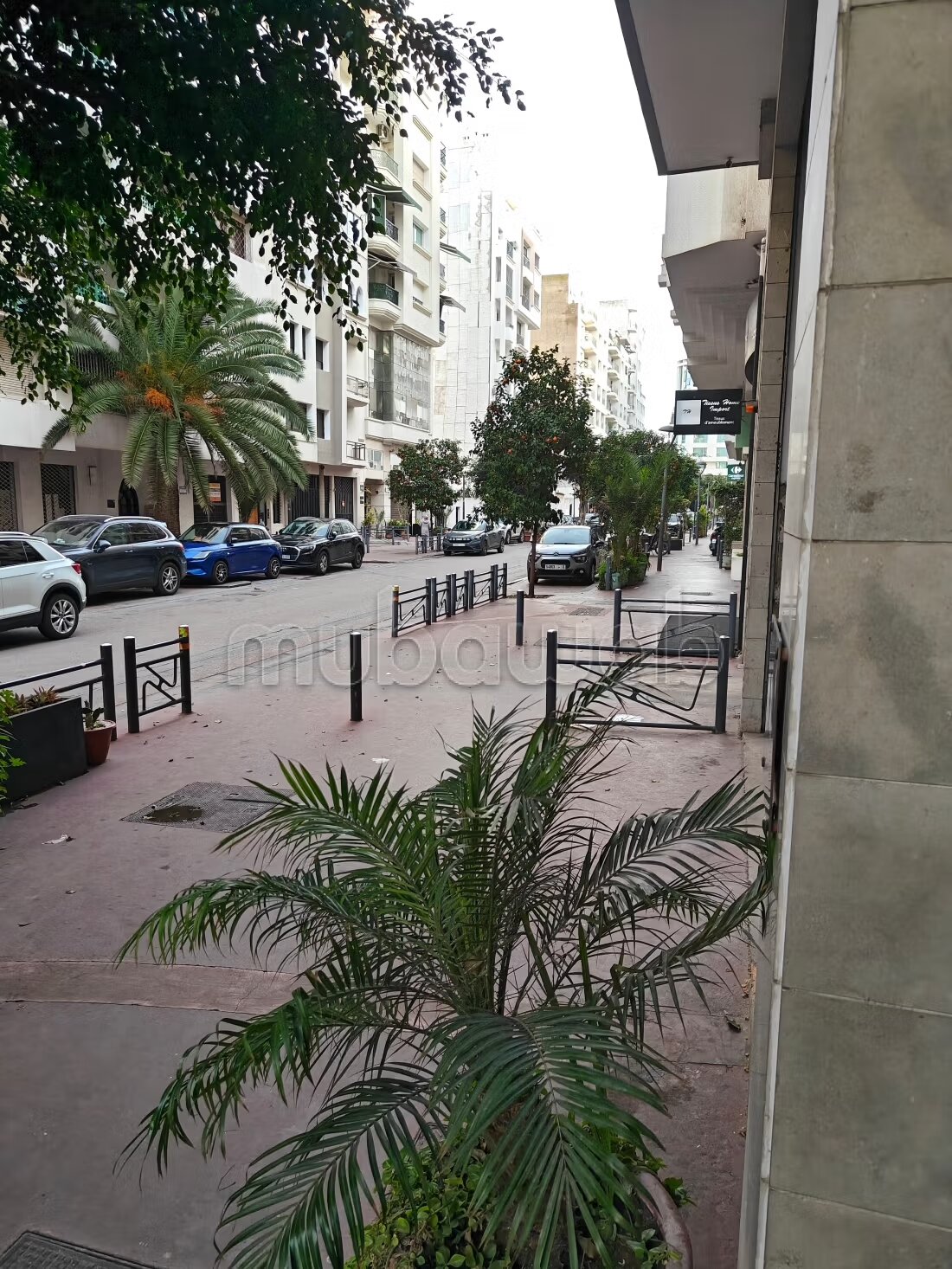 شقة 190 م² للبيع في الدار البيضاء (racine) — Photo 53