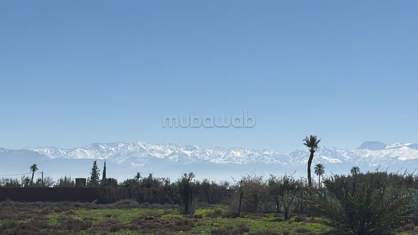 أرض للبيع 10000 م² في مراكش — Photo 6