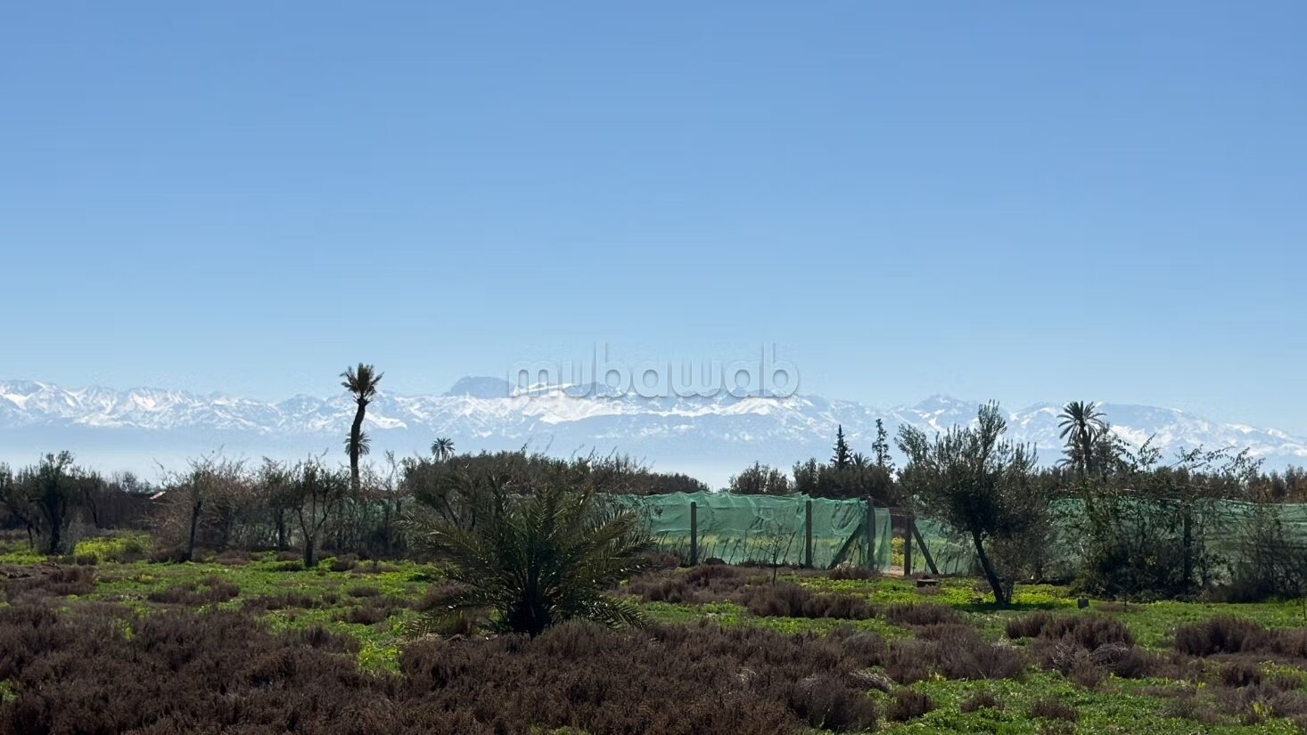 أرض للبيع 10000 م² في مراكش — Photo 7