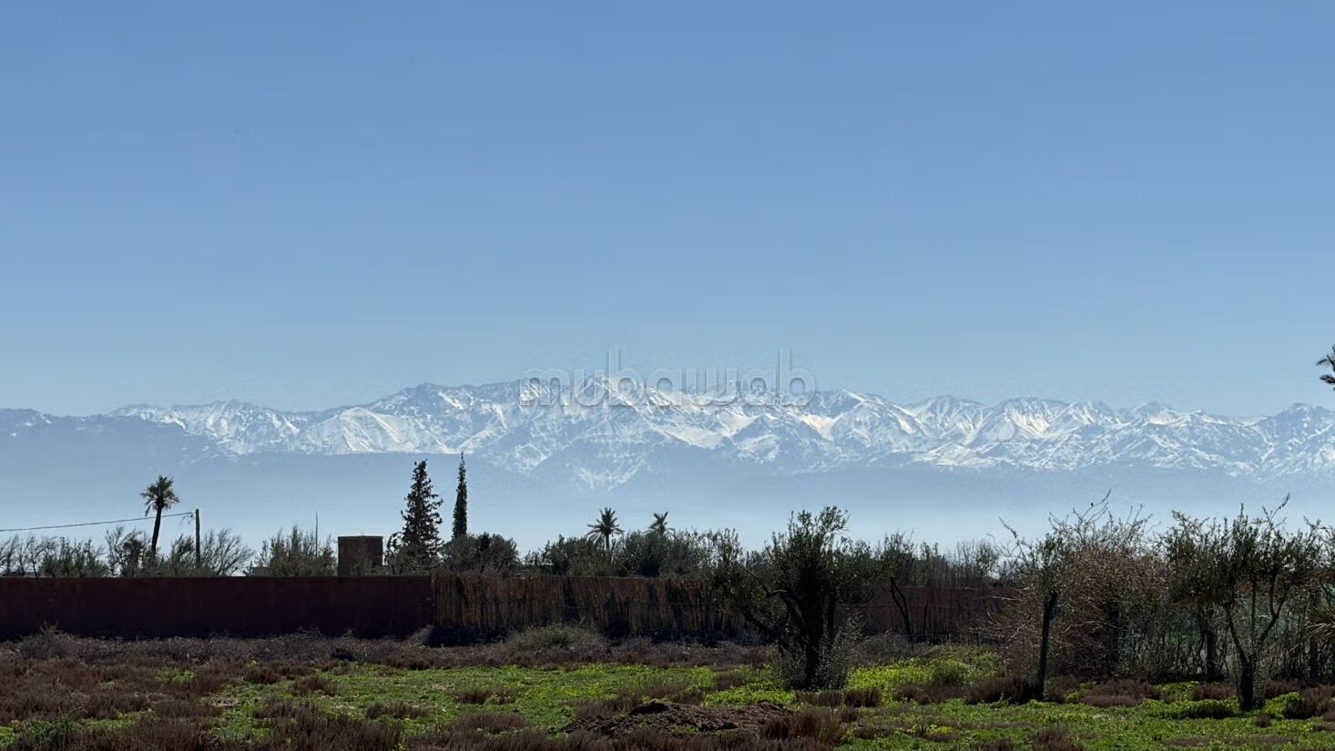 أرض للبيع 10000 م² في مراكش — Photo 8