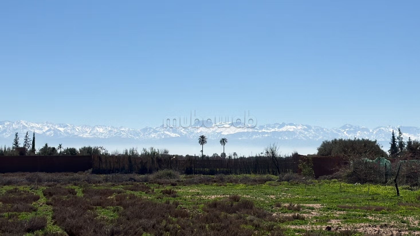 أرض للبيع 10000 م² في مراكش — Photo 13
