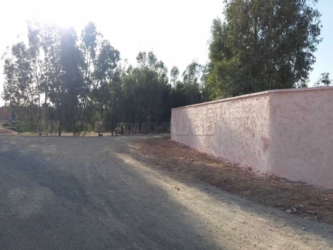 مزرعة 40000 متر مربع للبيع في مراكش — Photo 2