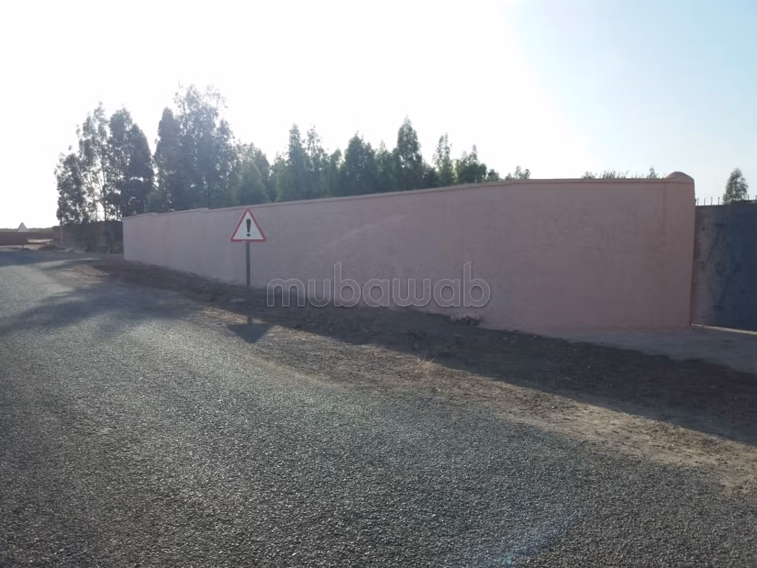 مزرعة 40000 متر مربع للبيع في مراكش — Photo 6