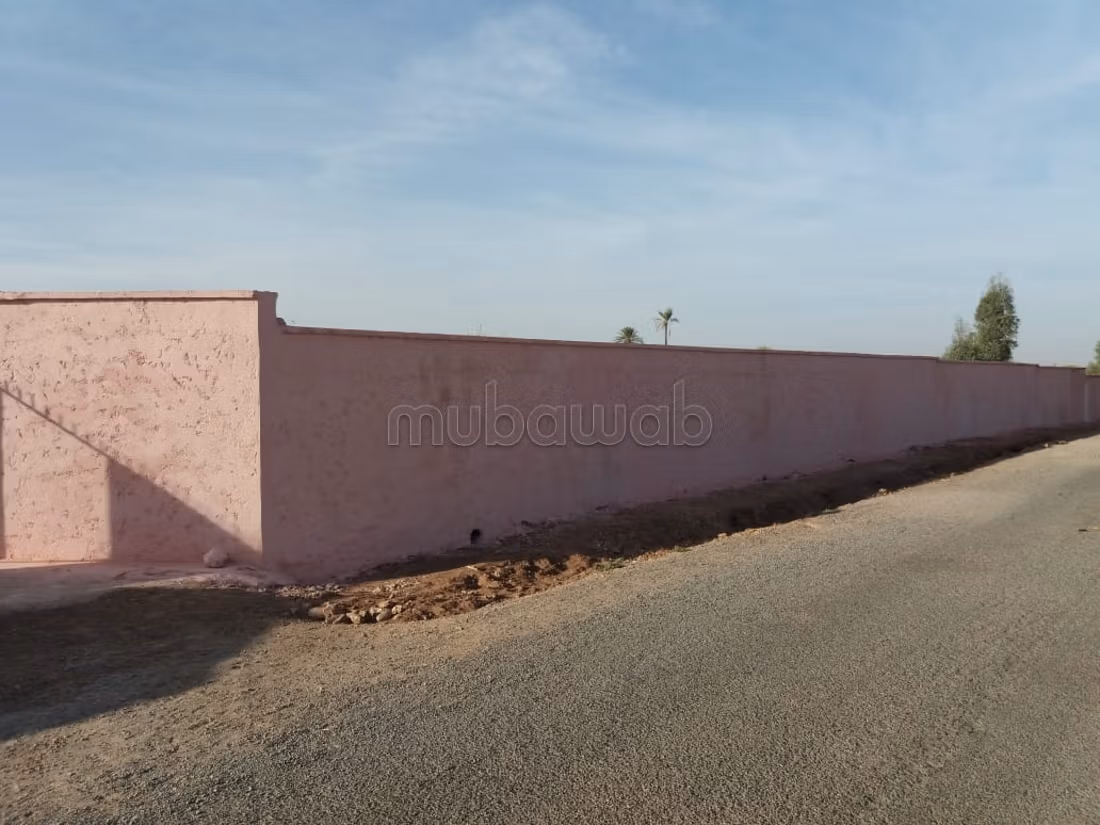 مزرعة 40000 متر مربع للبيع في مراكش — Photo 8