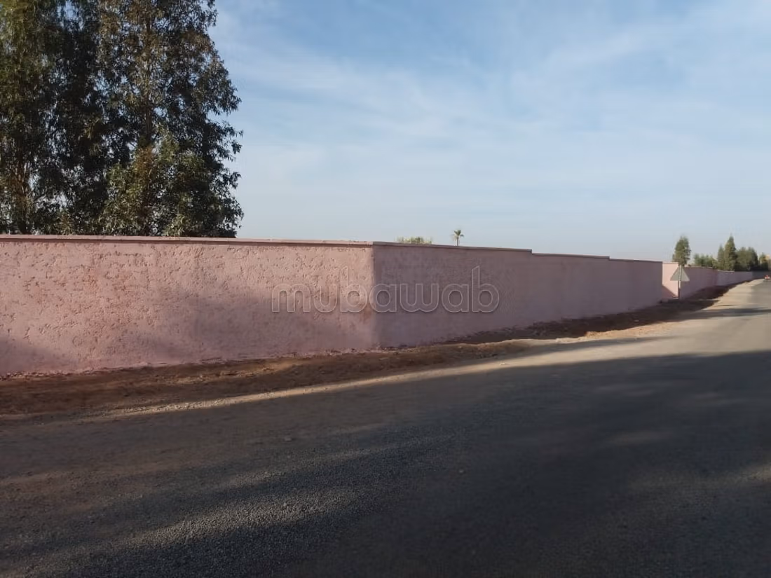 مزرعة 40000 متر مربع للبيع في مراكش — Photo 10