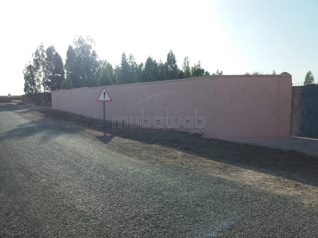 مزرعة 40000 متر مربع للبيع في مراكش — Photo 5