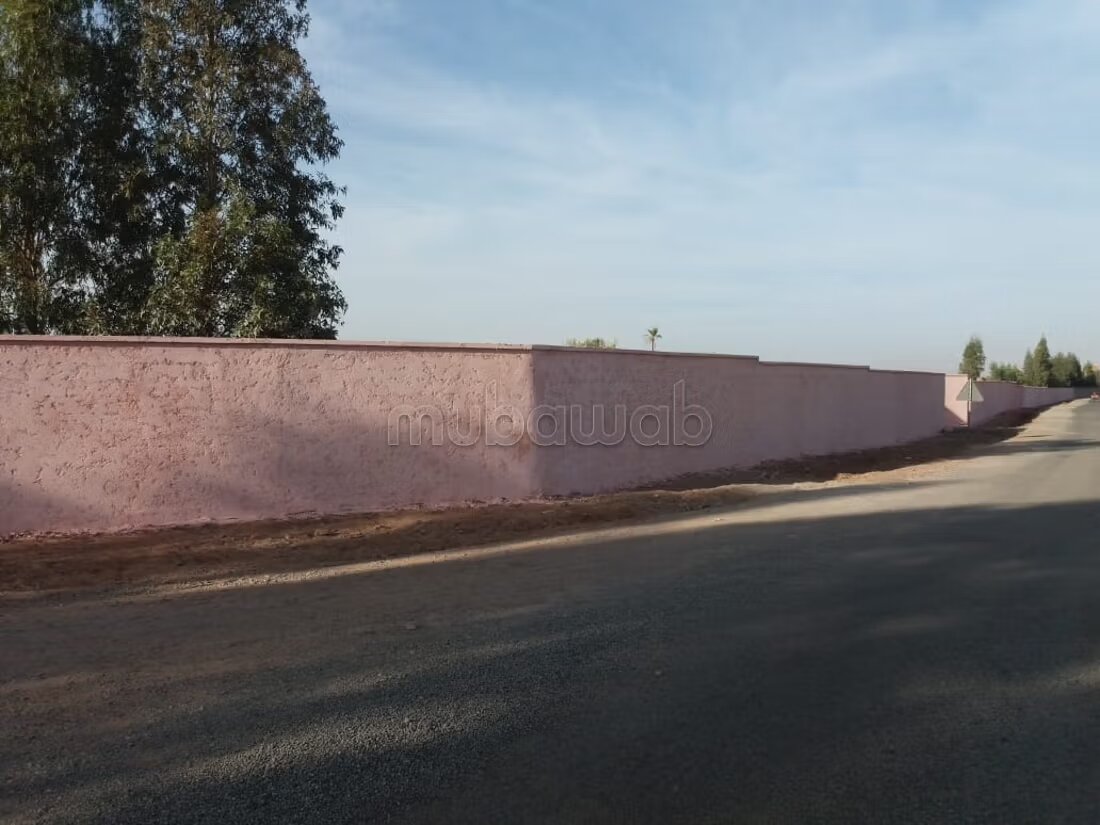 مزرعة 40000 متر مربع للبيع في مراكش — Photo 9