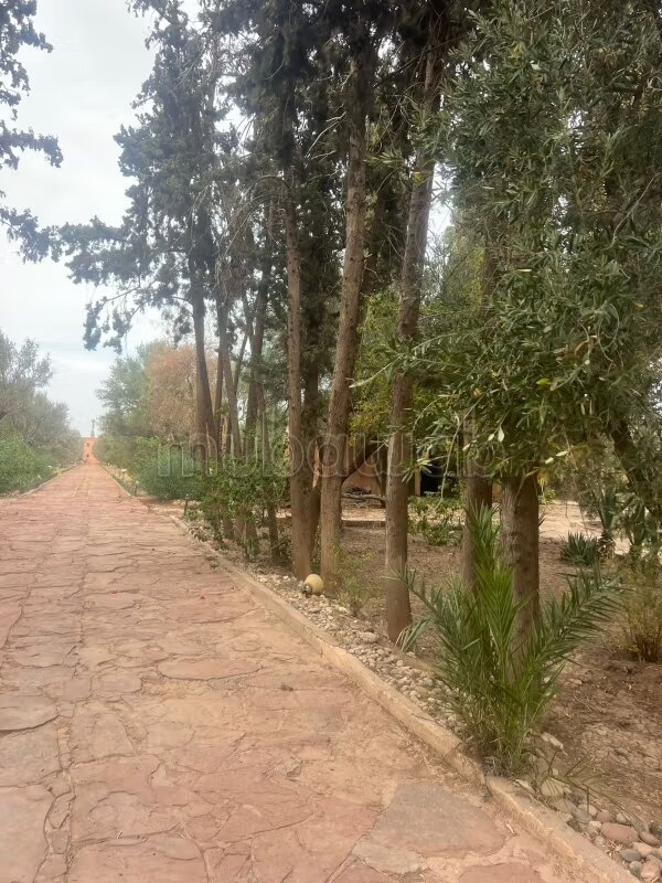 مزرعة 40000 متر مربع للبيع في مراكش — Photo 13