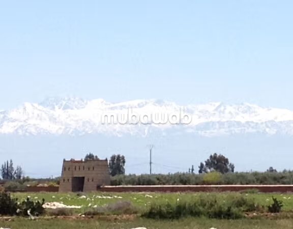 مزرعة 40000 متر مربع للبيع في مراكش — Photo 15