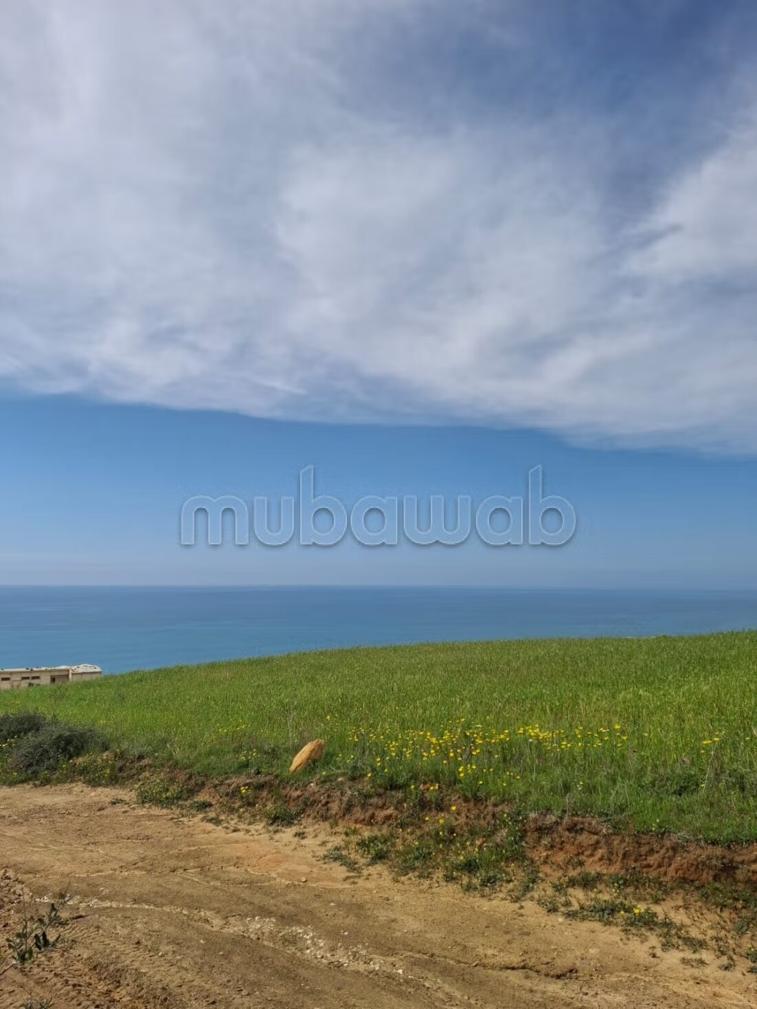 Agricultural land 317 m² for sale in Asilah — Photo 2
