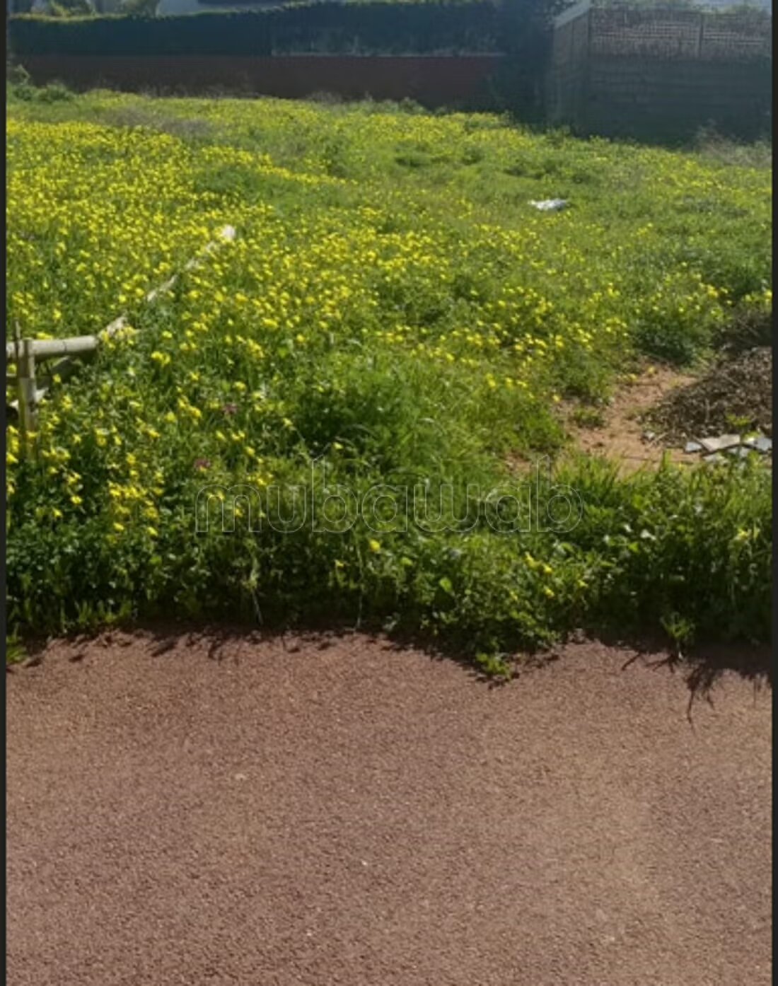 Land 575 sqm for sale in Rabat – Hay Riad Sector 14 — Photo 2