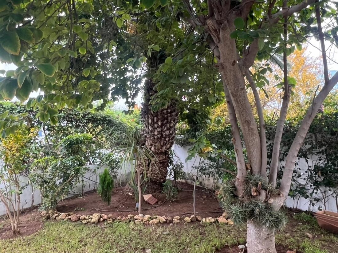 فيلا 550 متر مربع للإيجار في الرباط (حي رياض) — Photo 4