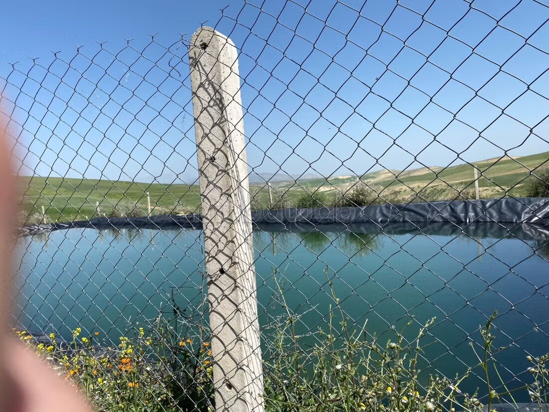Ferme 860000 m² à vendre à Ain Bida — Photo 9