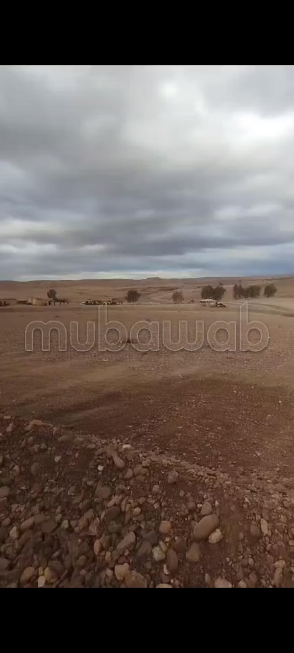 Terrain 350 m² à vendre à Marrakech – Alliance Darna — Photo 7