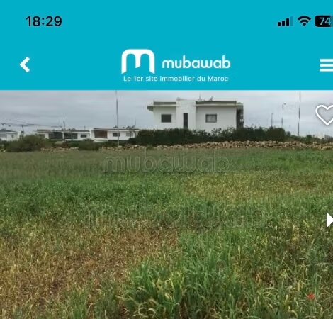 أرض للبيع 980 م² في الدار البيضاء داربوازة واد مرزق — Photo 13