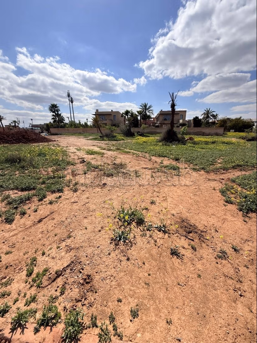 Terrain 1000 m² à vendre à Marrakech – Résidence Fermée Proche Golf — Photo 5