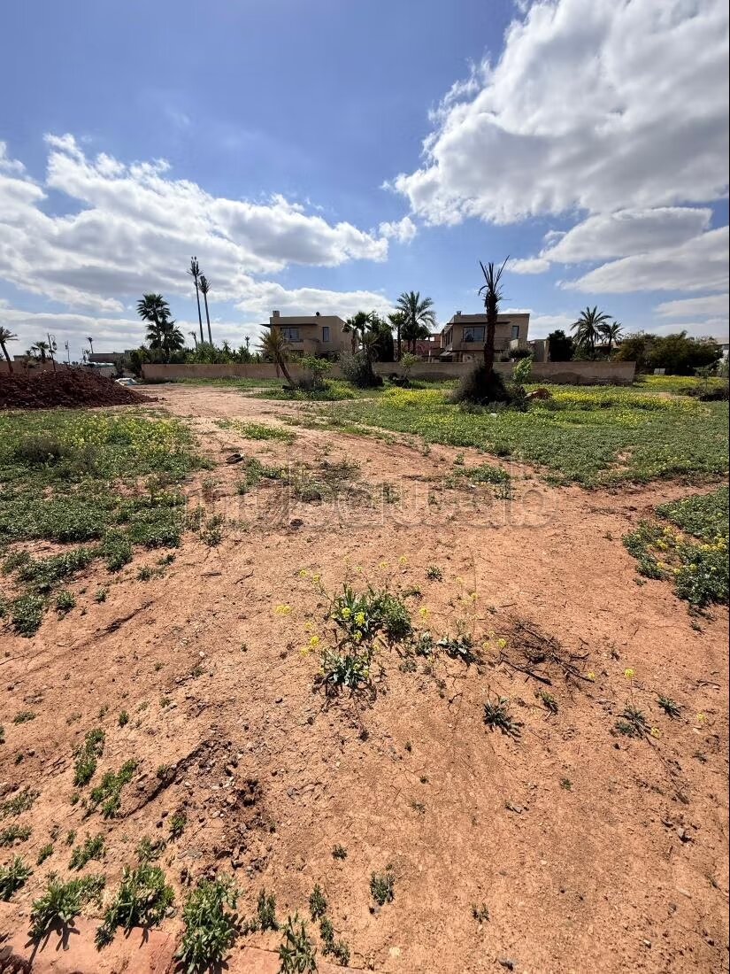 Terrain 1000 m² à vendre à Marrakech – Résidence Fermée Proche Golf — Photo 6