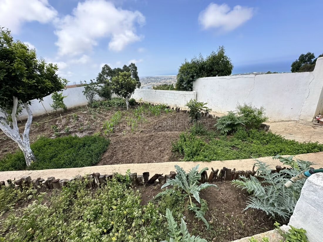 Villa 1717 m² for rent in Tangier — Photo 6