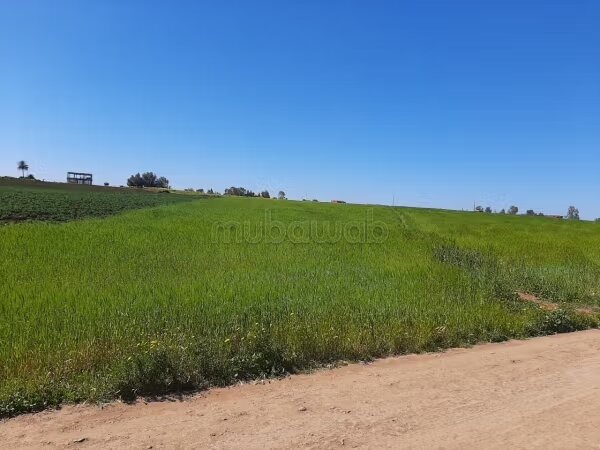 Land for sale 211 m² in Casablanca - Les Chênes subdivision — Photo 5