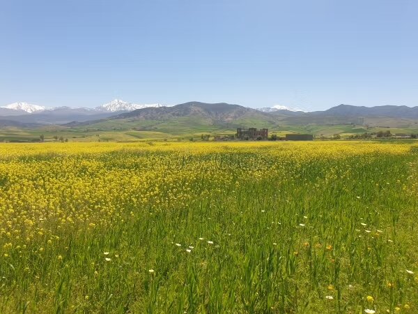 أرض 10000 م² للبيع في Ourika — Photo 6