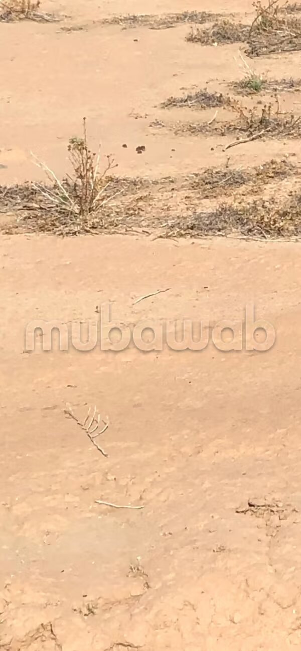 322 m² Land for Sale in Marrakech — Photo 6