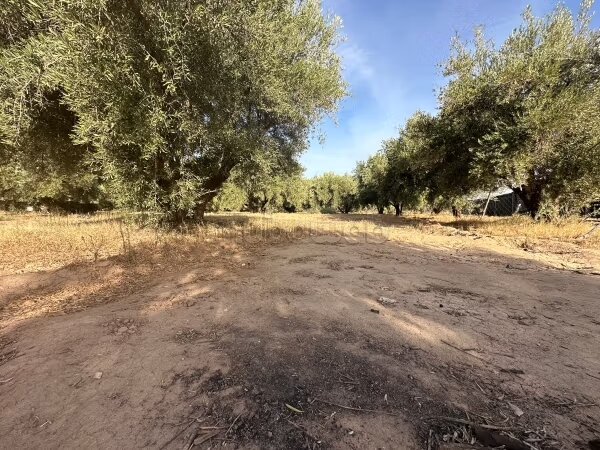 Terrain 33 600 m² à vendre à Marrakech — Photo 12