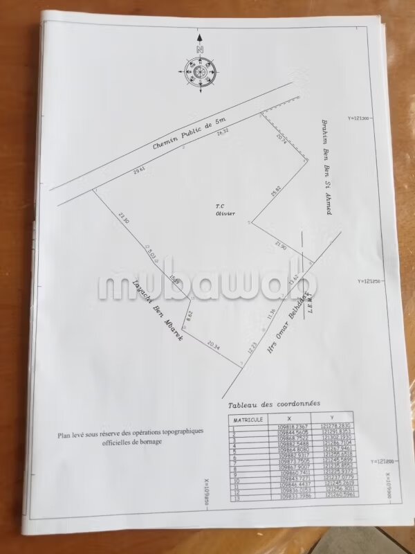 10000 m² Plot for Sale in Essaouira — Photo 9