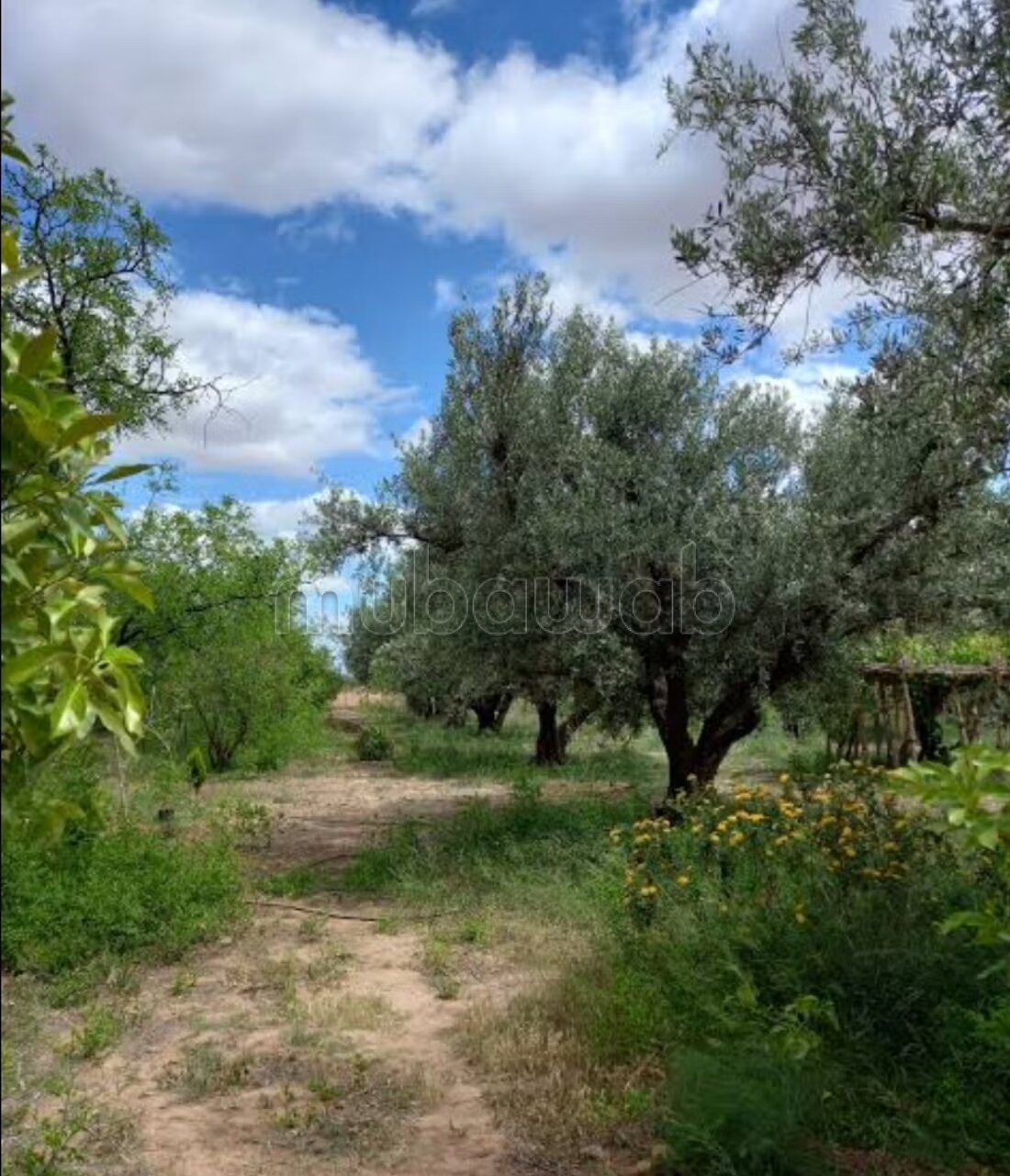 Ferme à vendre à Marrakech