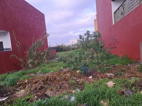 Plot 300 m² for Sale in Ain Attig — Photo 5