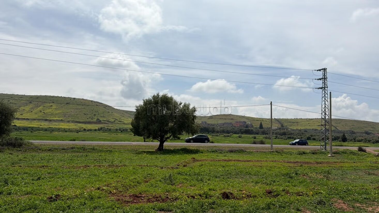 أرض صناعية - منطقة فئة 2 - 25000 م² للبيع — Photo 17