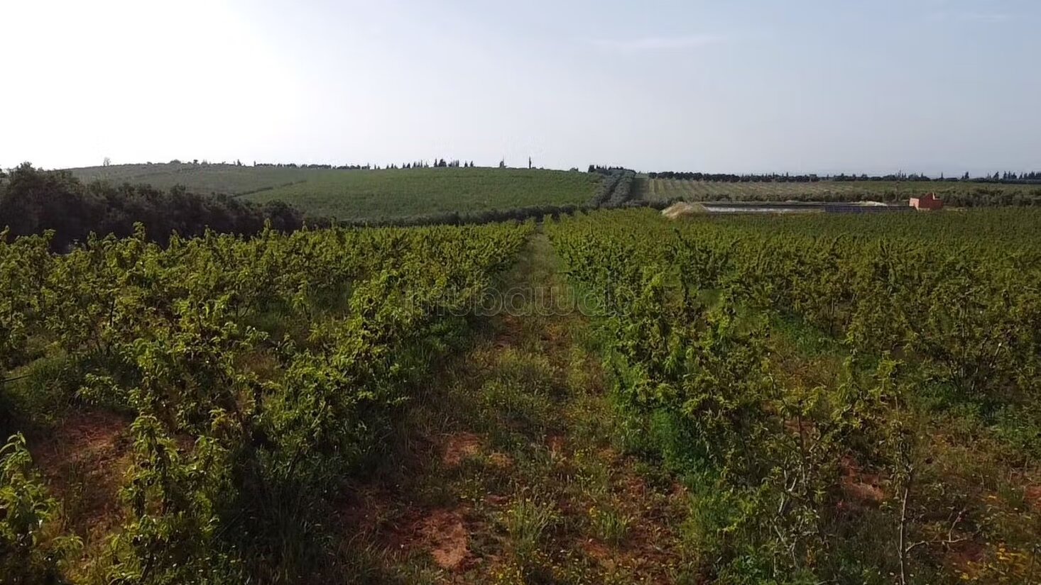Farm 2000 m² for sale in Rabat — Photo 2