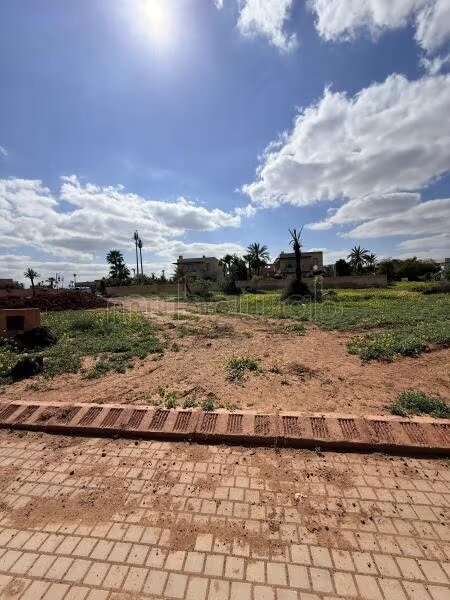 73,600 m² Land for Sale in Marrakech (Palmeraie) — Photo 4