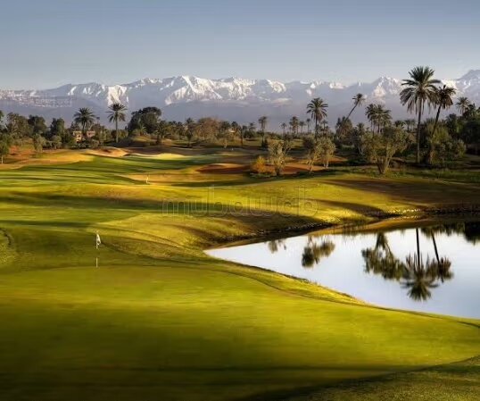 73,600 m² Land for Sale in Marrakech (Palmeraie) — Photo 8